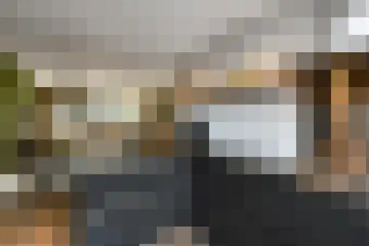 Pijlkruid 12 Elst thumbnail 14
