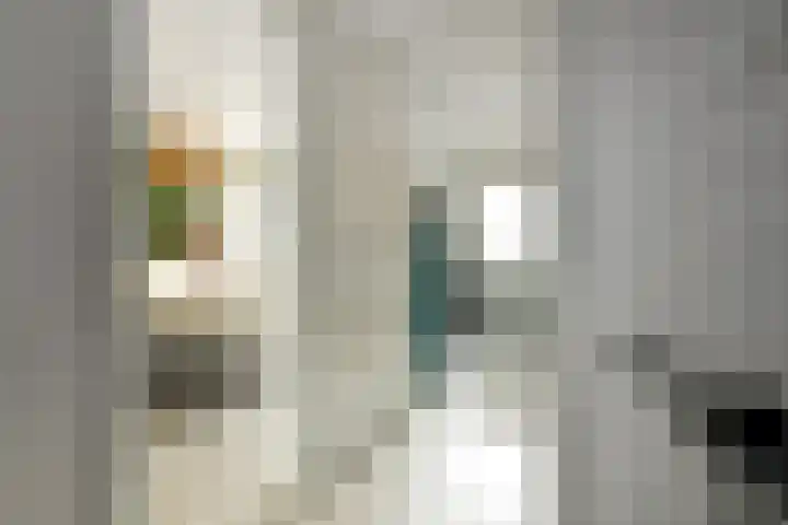 Pijlkruid 12 Elst thumbnail 19