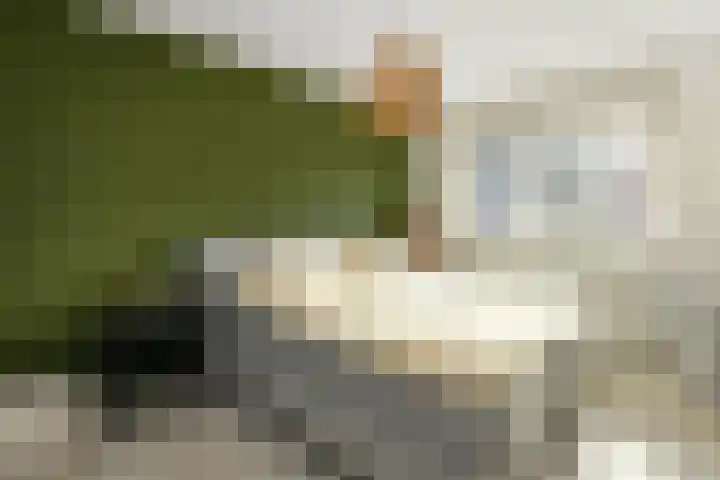 Pijlkruid 12 Elst thumbnail 20
