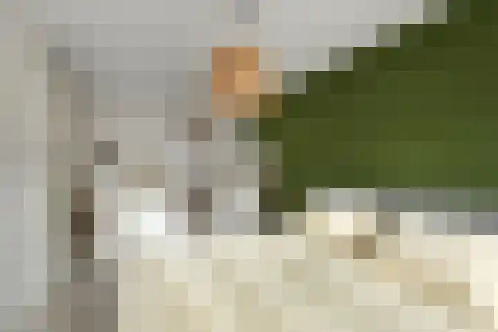 Pijlkruid 12 Elst thumbnail 22