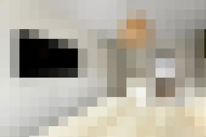 Pijlkruid 12 Elst thumbnail 23