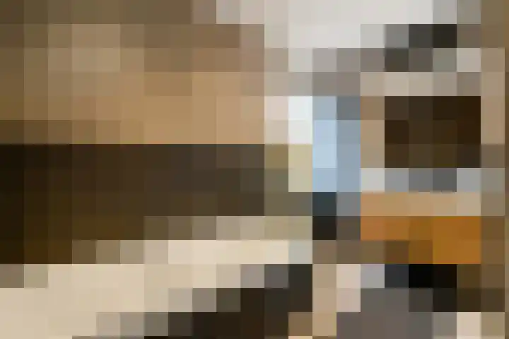 Pijlkruid 12 Elst thumbnail 28