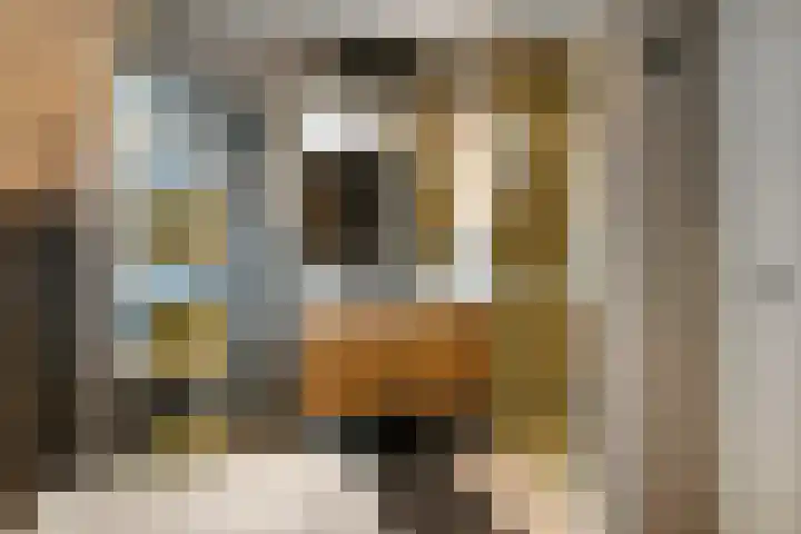 Pijlkruid 12 Elst thumbnail 29