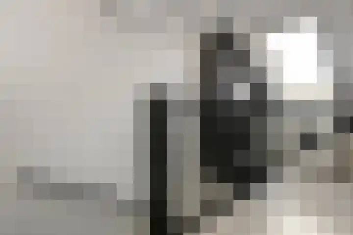Pijlkruid 12 Elst thumbnail 34