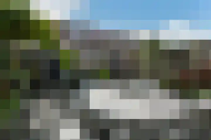 Pijlkruid 12 Elst thumbnail 38