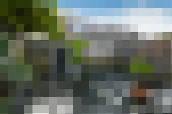 Pijlkruid 12 Elst thumbnail 40