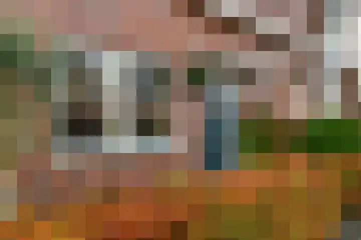 Pijlkruid 12 Elst thumbnail 46