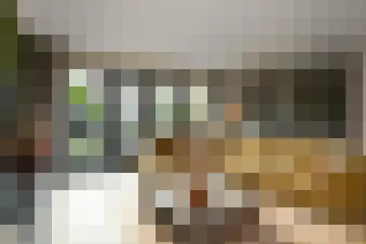 Pijlkruid 12 Elst thumbnail 5