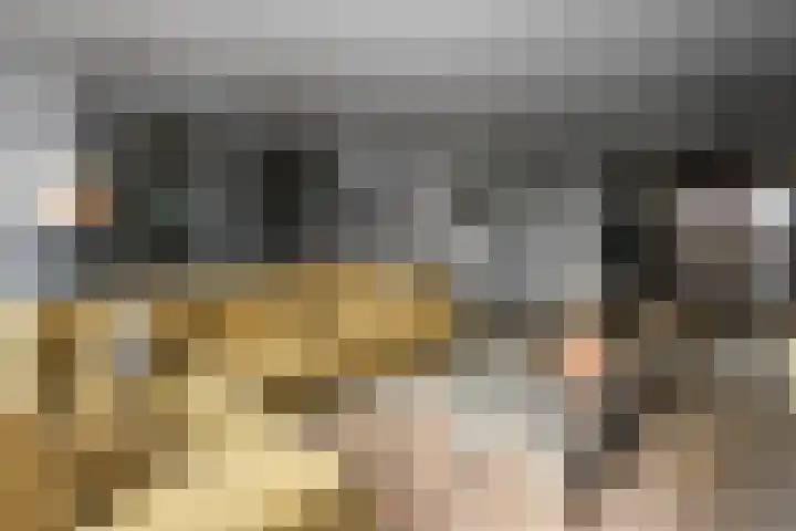Pijlkruid 12 Elst thumbnail 7
