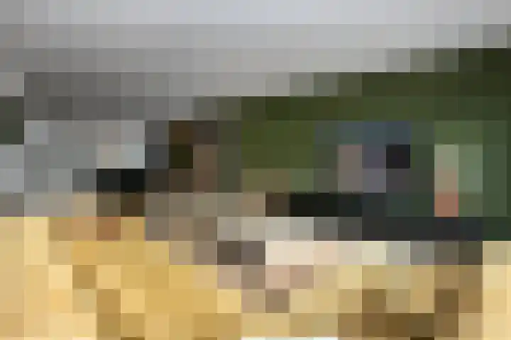 Pijlkruid 12 Elst thumbnail 8