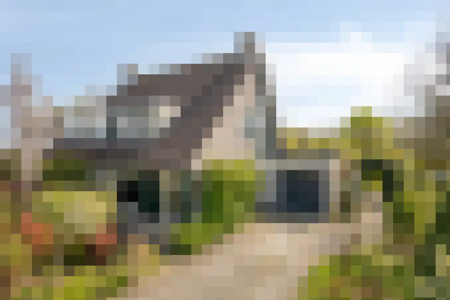 Pijlkruid 14 a Culemborg