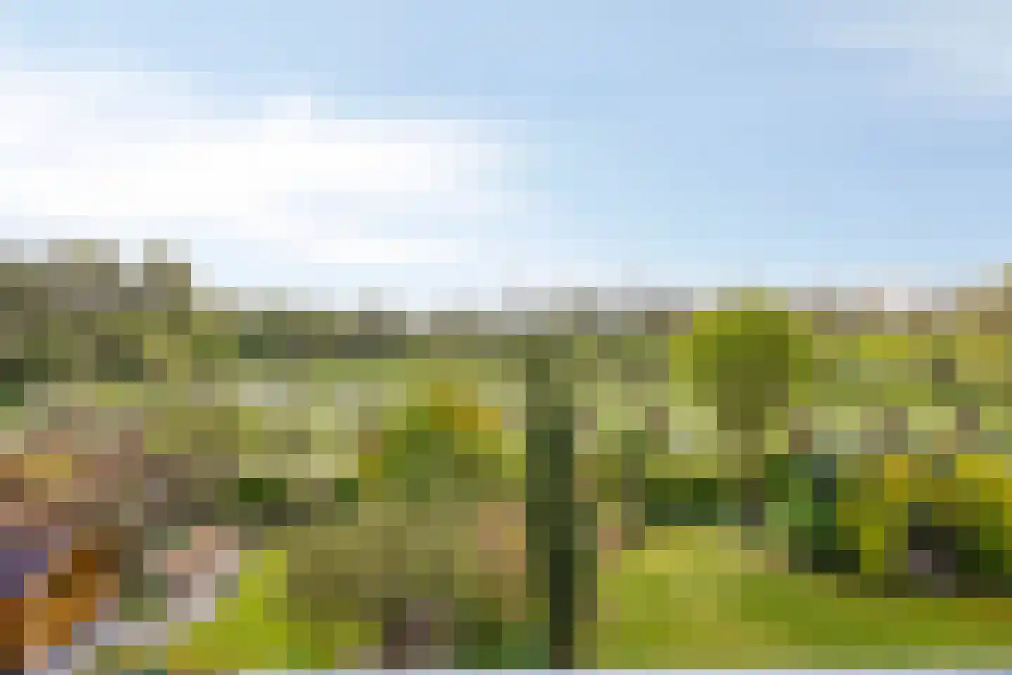 Pijlkruid 14 a Culemborg thumbnail 26