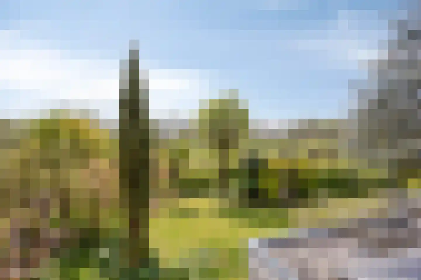 Pijlkruid 14 a Culemborg thumbnail 28