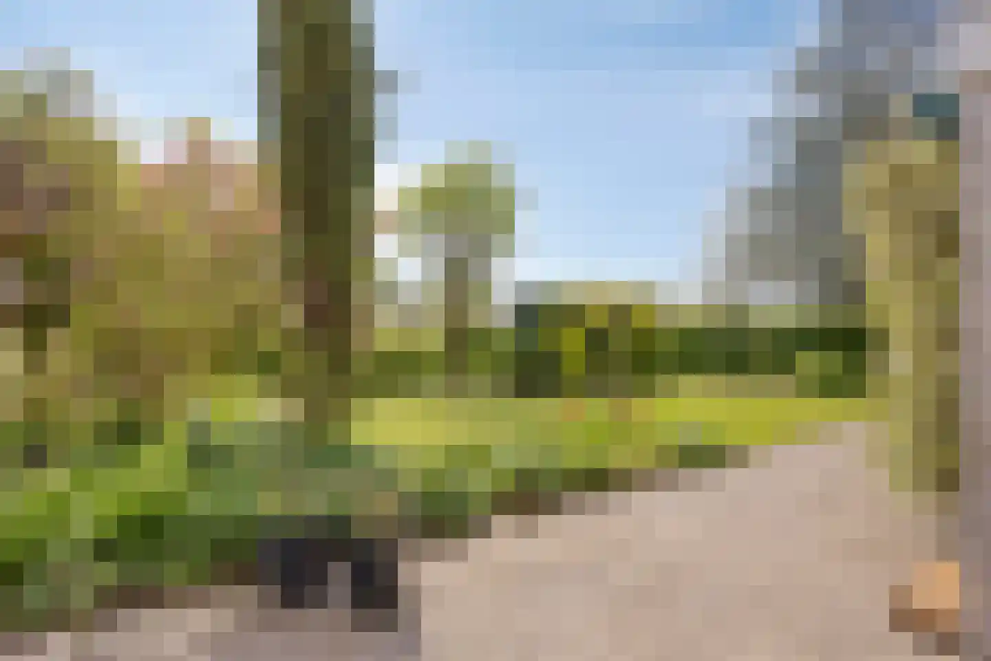 Pijlkruid 14 a Culemborg thumbnail 29