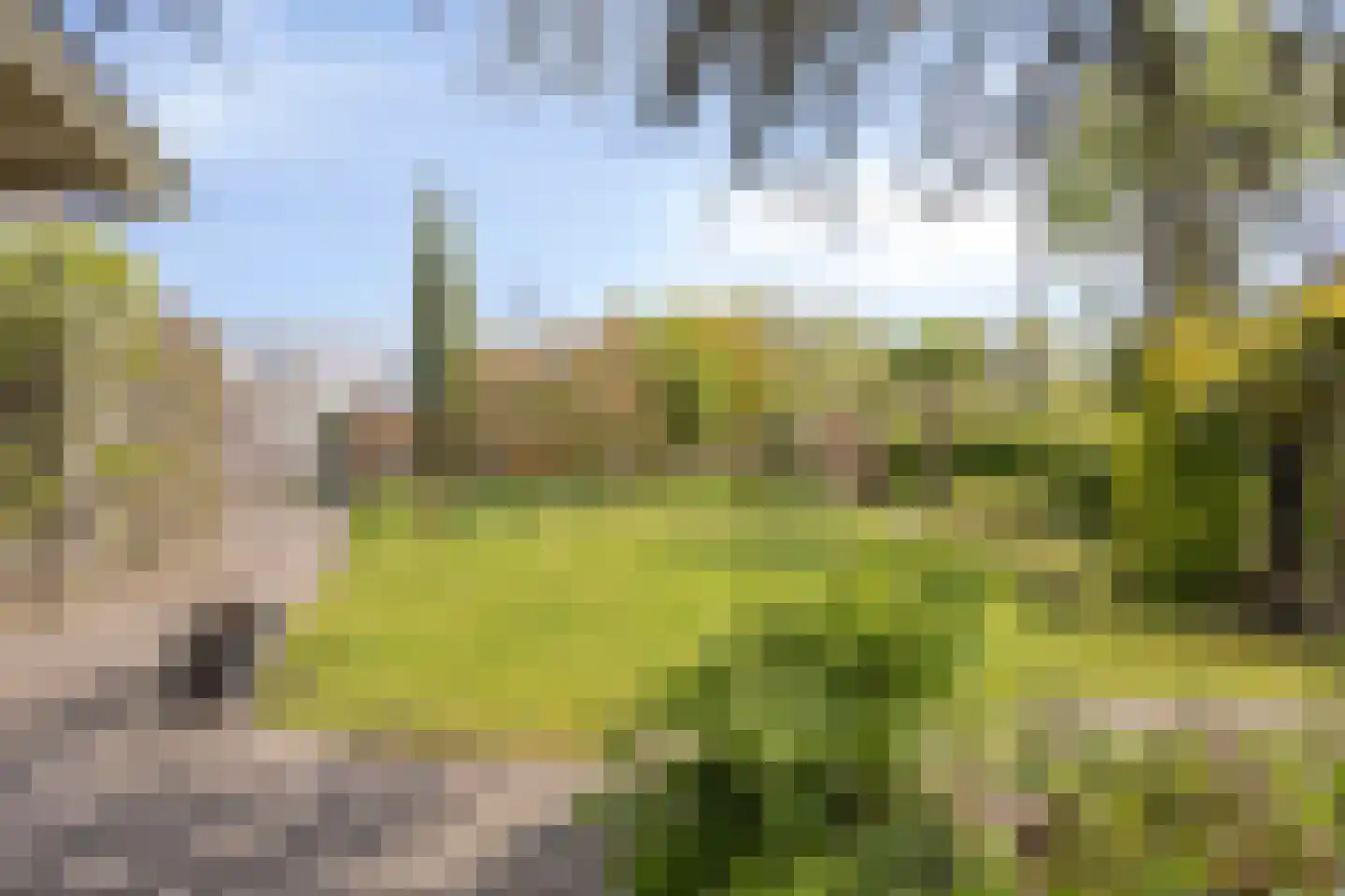 Pijlkruid 14 a Culemborg thumbnail 30