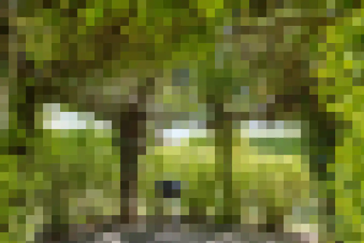 Pijlkruid 14 a Culemborg thumbnail 31