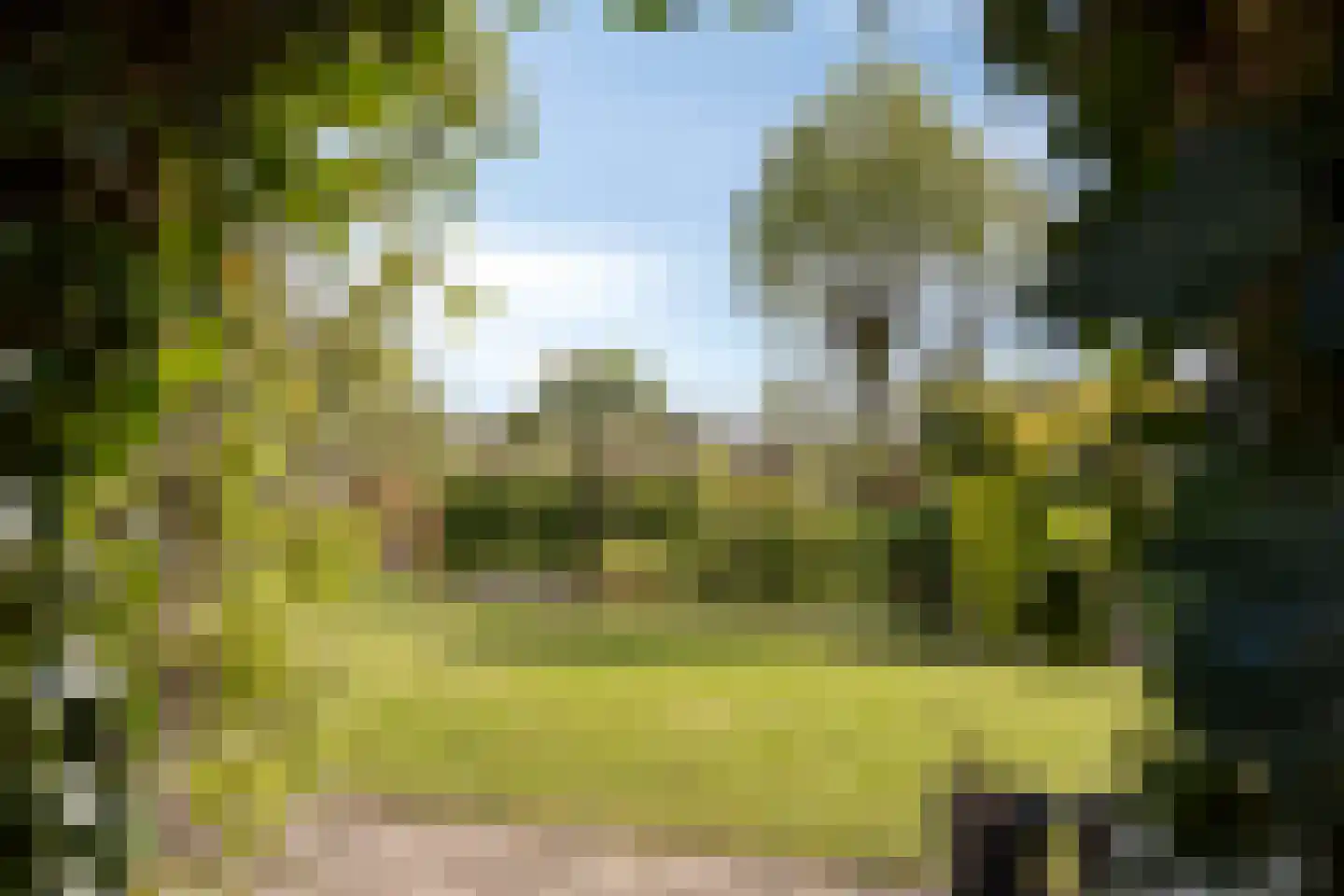 Pijlkruid 14 a Culemborg thumbnail 32