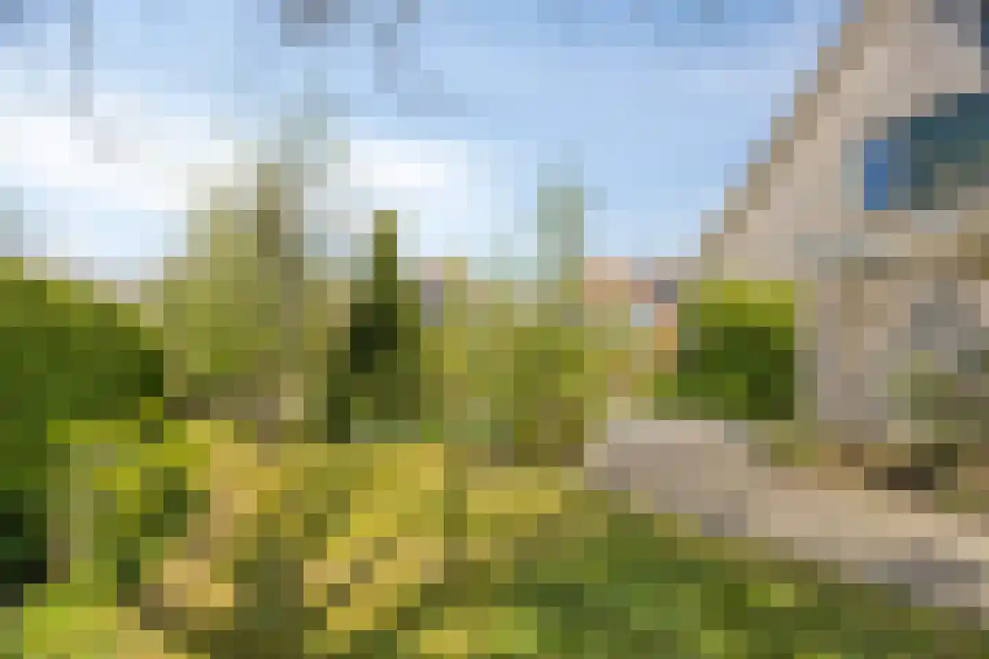 Pijlkruid 14 a Culemborg thumbnail 33