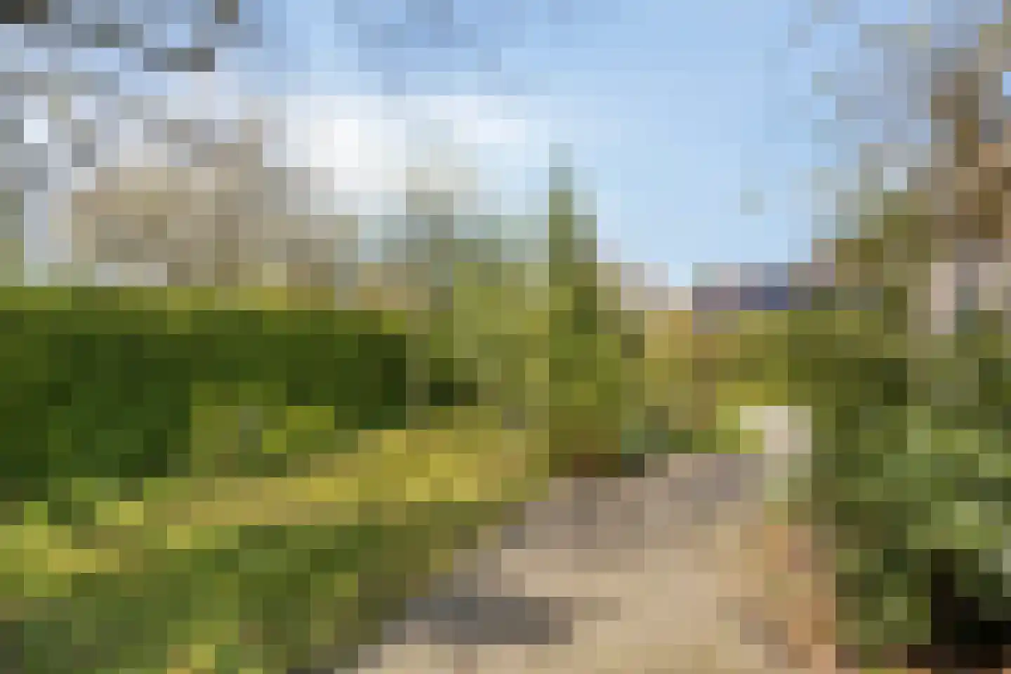 Pijlkruid 14 a Culemborg thumbnail 34