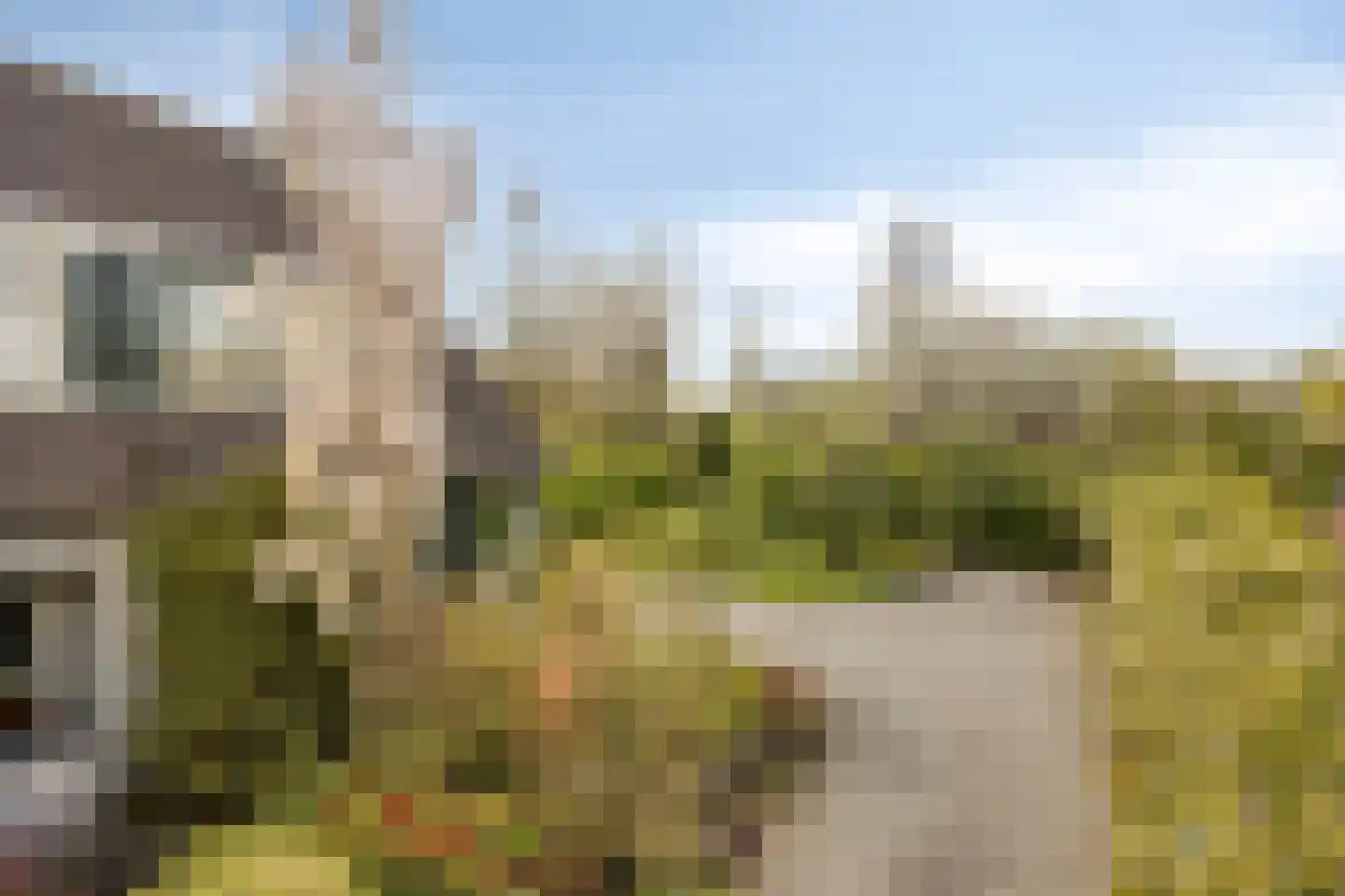 Pijlkruid 14 a Culemborg thumbnail 35