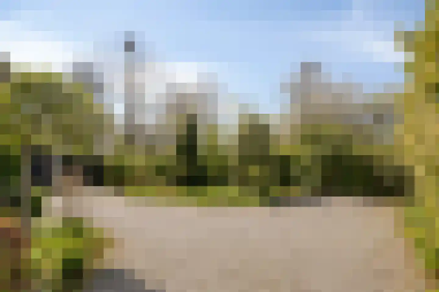 Pijlkruid 14 a Culemborg thumbnail 36