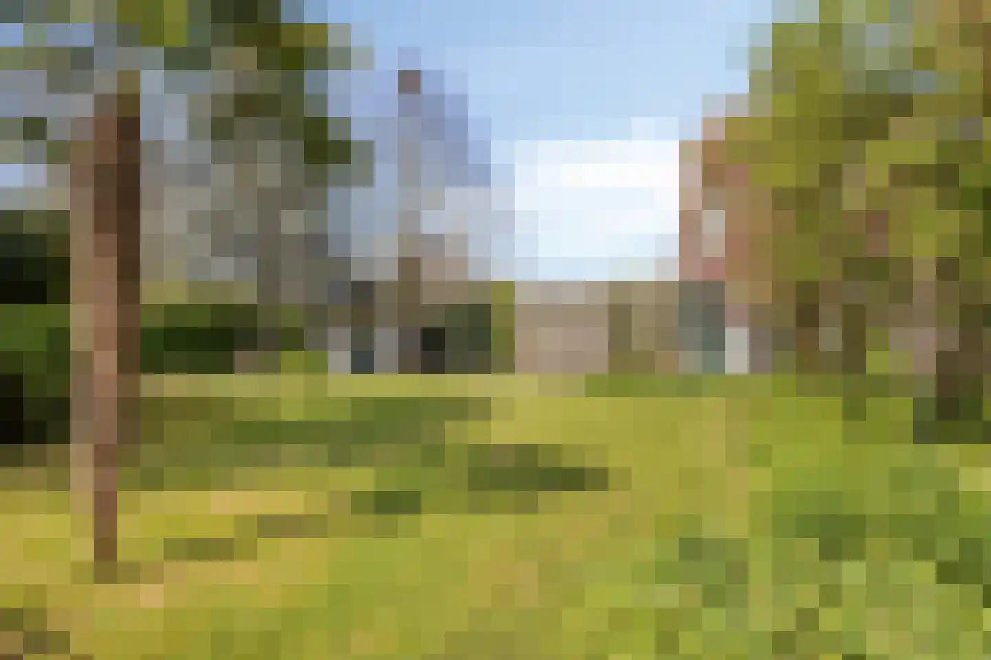 Pijlkruid 14 a Culemborg thumbnail 4