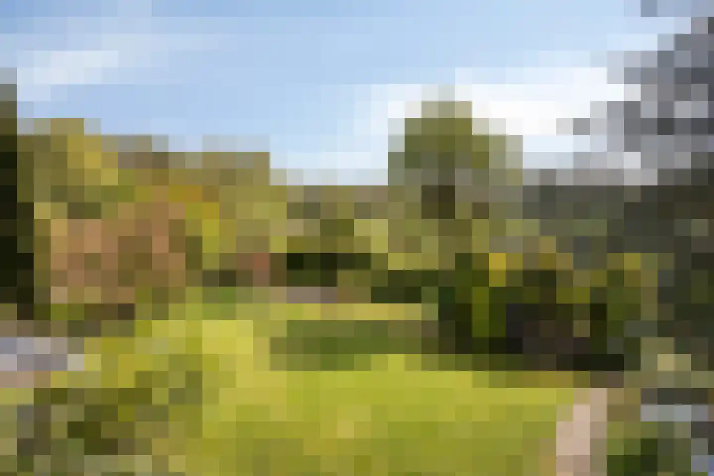 Pijlkruid 14 a Culemborg thumbnail 5