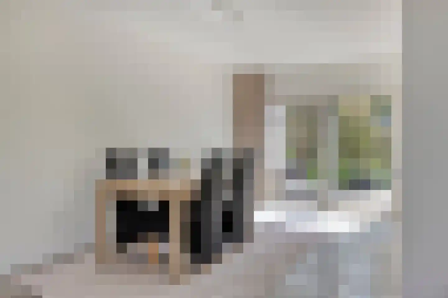 Pijlkruid 14 a Culemborg thumbnail 9