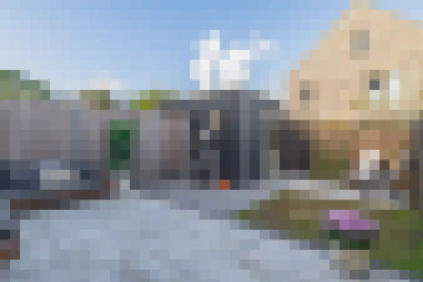 Pijlkruid 15 Meerstad thumbnail 16