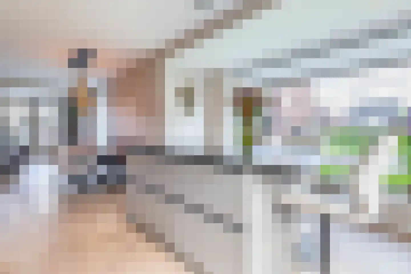 Pijlkruid 15 Meerstad thumbnail 23