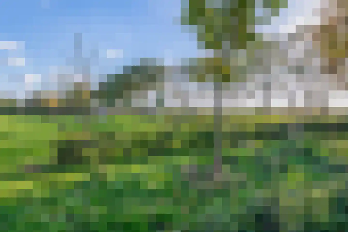Pijlkruid 15 Meerstad thumbnail 50