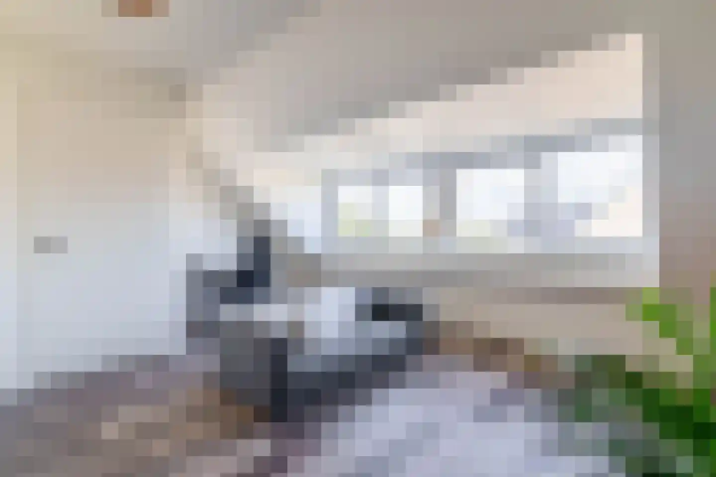 Pijlkruid 15 Meerstad thumbnail 6