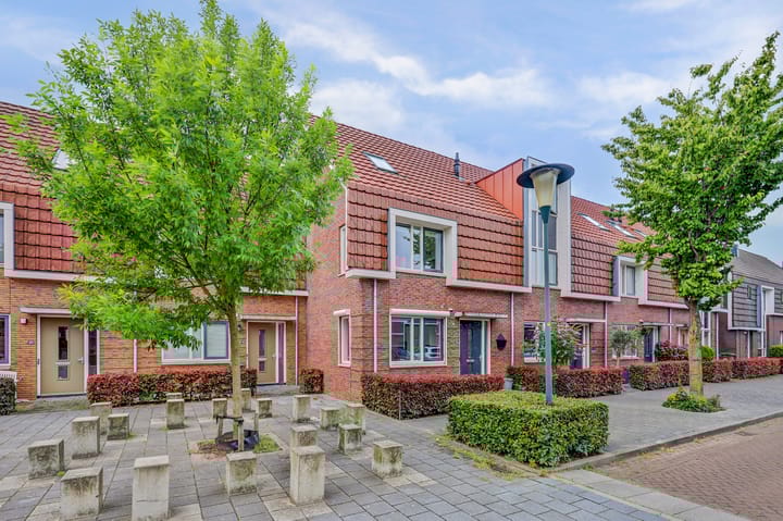 Pijlkruid 16 in Elst