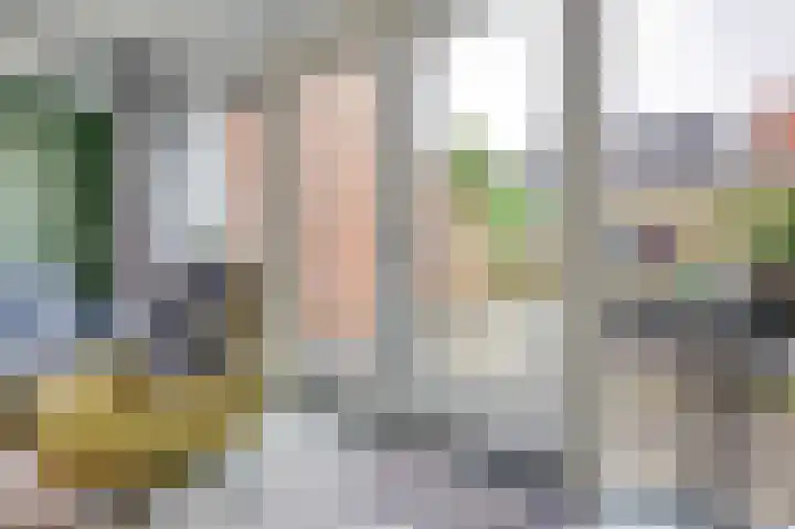 Pijlkruid 16 Elst thumbnail 11