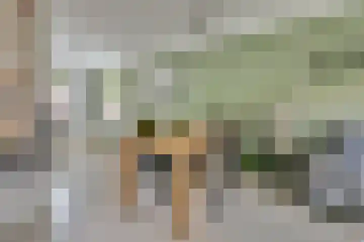 Pijlkruid 16 Elst thumbnail 12