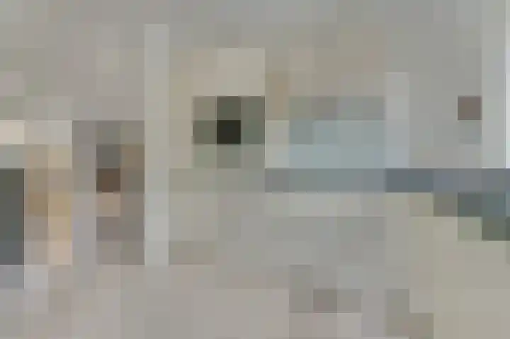 Pijlkruid 16 Elst thumbnail 13