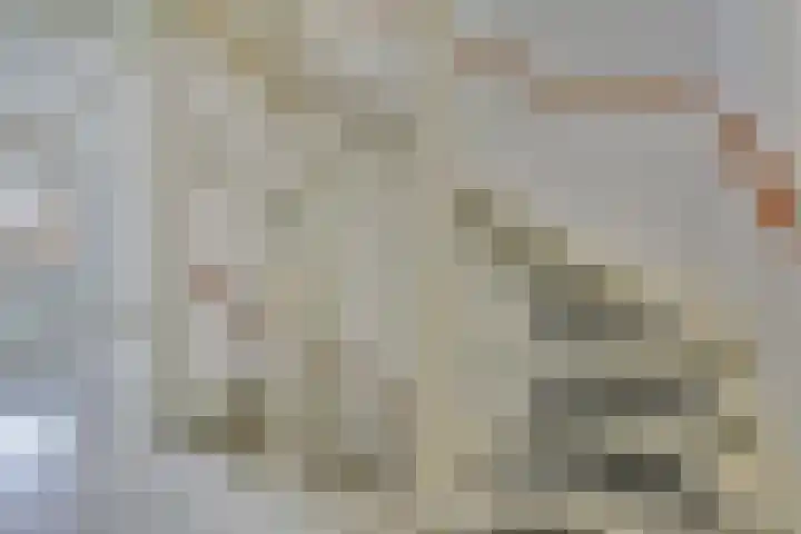 Pijlkruid 16 Elst thumbnail 14