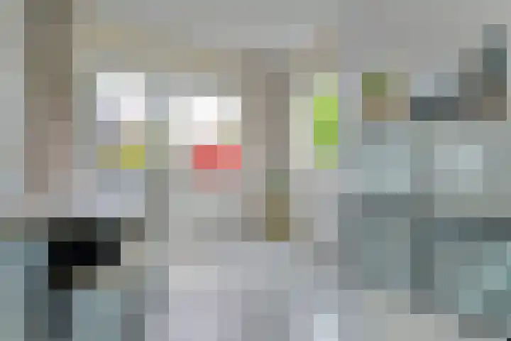 Pijlkruid 16 Elst thumbnail 18