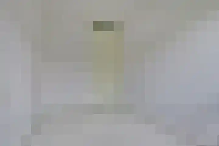 Pijlkruid 16 Elst thumbnail 21