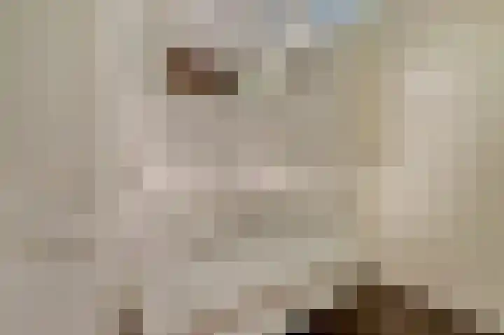 Pijlkruid 16 Elst thumbnail 24