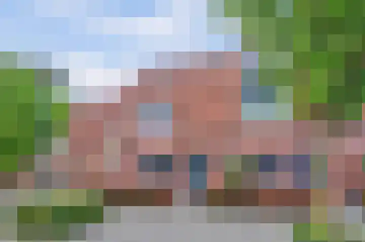 Pijlkruid 16 Elst thumbnail 32
