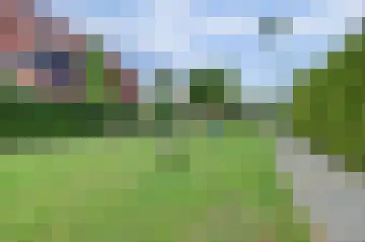 Pijlkruid 16 Elst thumbnail 34