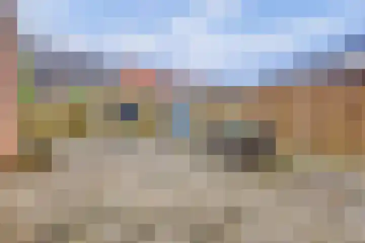 Pijlkruid 16 Elst thumbnail 4