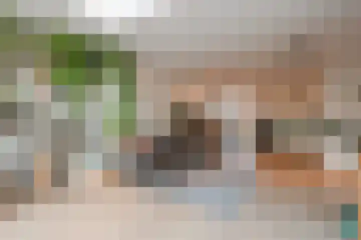 Pijlkruid 17 Diemen thumbnail 10