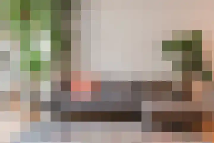 Pijlkruid 17 Diemen thumbnail 12