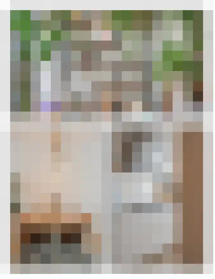 Pijlkruid 17 Diemen thumbnail 13