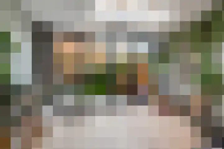 Pijlkruid 17 Diemen thumbnail 14