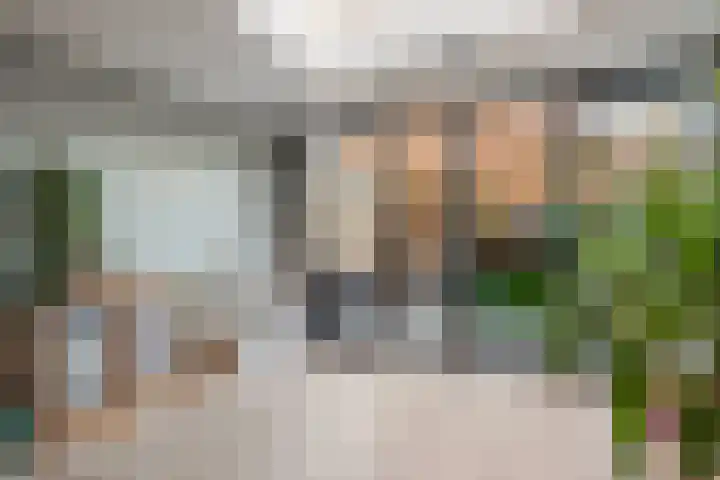 Pijlkruid 17 Diemen thumbnail 15