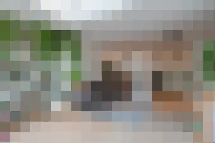 Pijlkruid 17 Diemen thumbnail 16