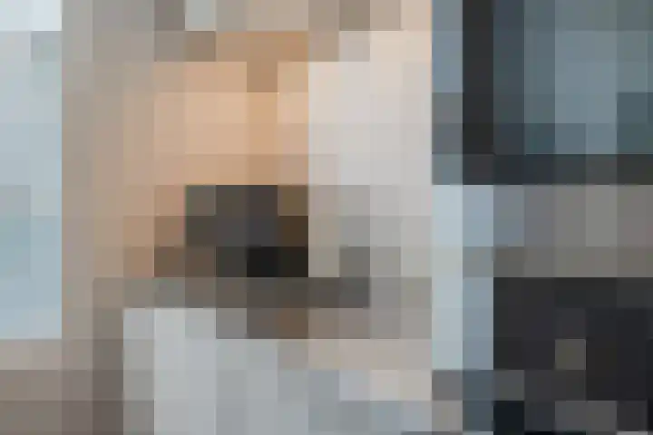 Pijlkruid 17 Diemen thumbnail 22
